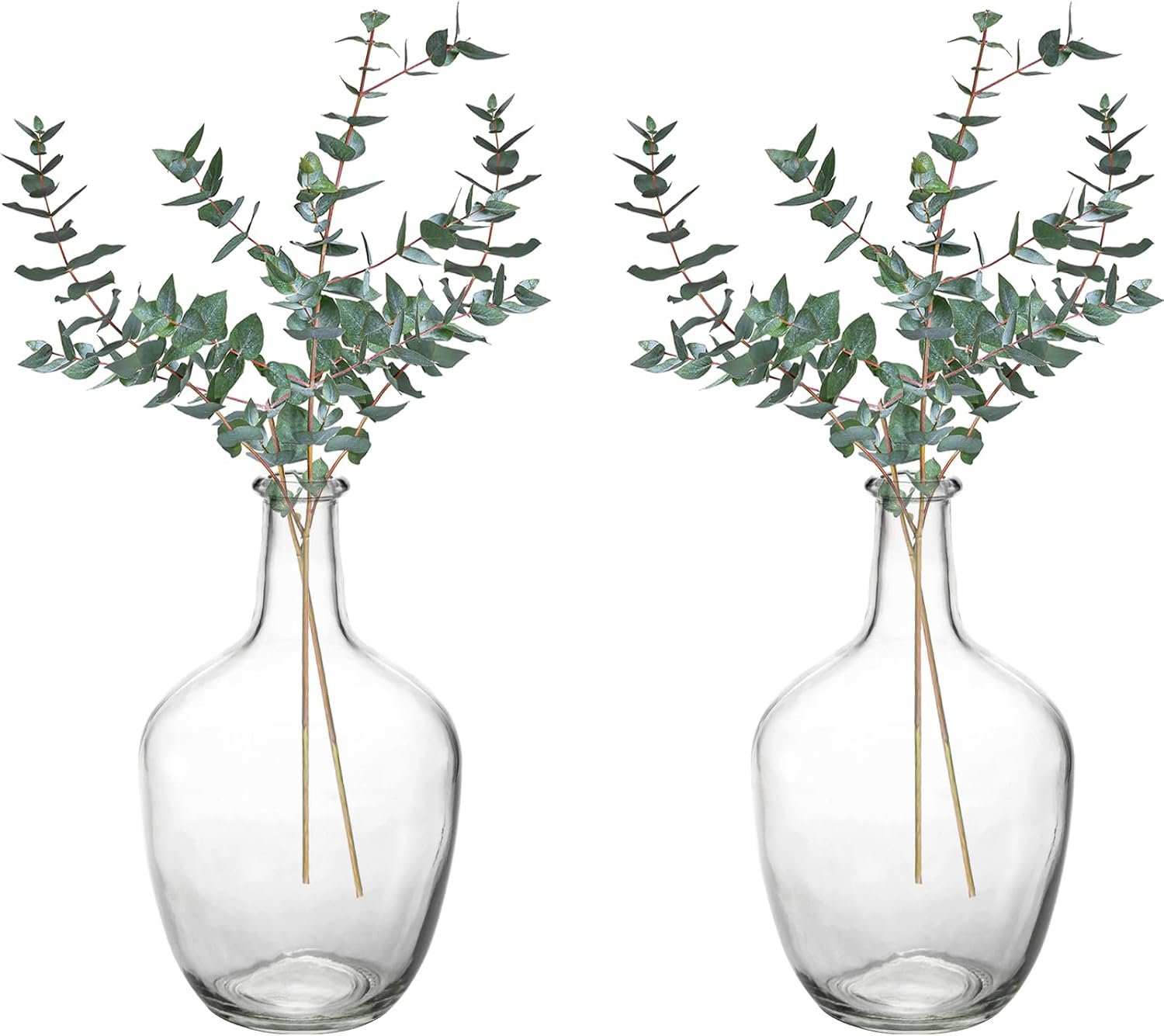 2-Pack Clear Solid Glass Vases, 10-inch Small Decorative Balloon Pot Vases